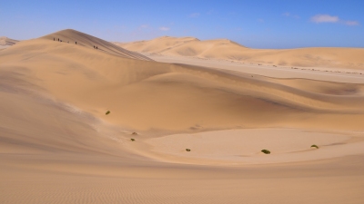 Namib Wüste Namibia (Alexander Mirschel)  Copyright 
License Information available under 'Proof of Image Sources'